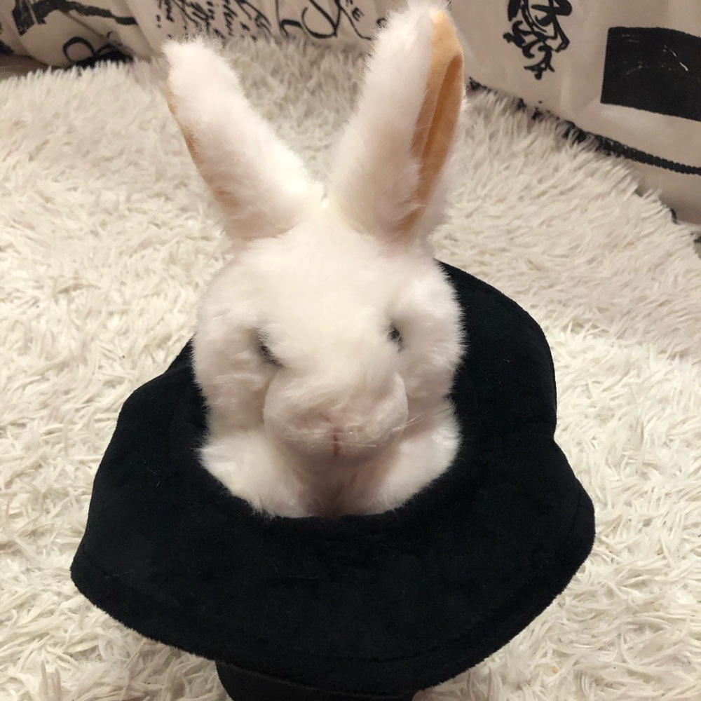 Folkmanis Rabbit in Hat Hand Puppet 12”
